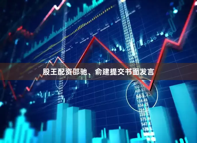 股王配资邵驰、俞建提交书面发言