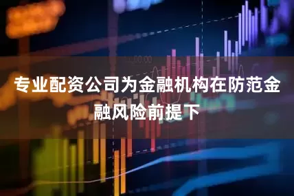 专业配资公司为金融机构在防范金融风险前提下